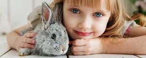 Kaninchenversicherung